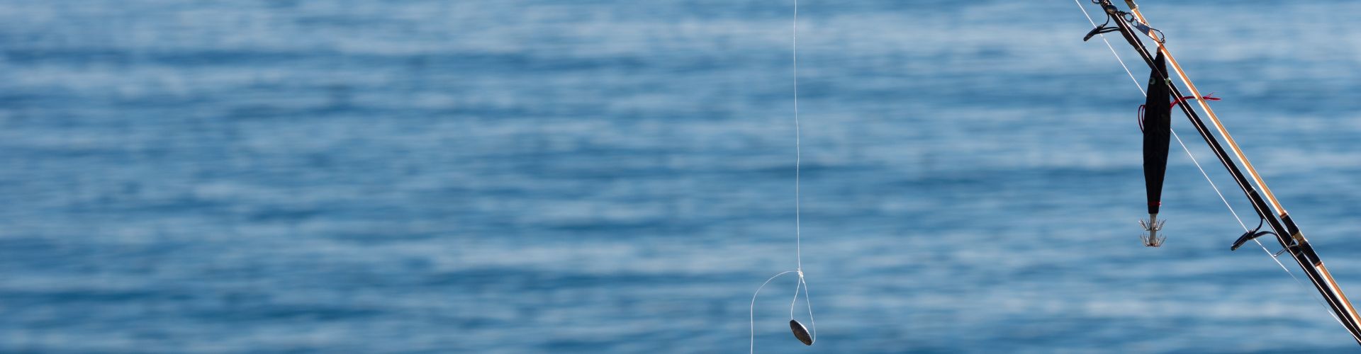 8 Best Stand Up Paddle Board For Fishing in 2023 WorkoutCave