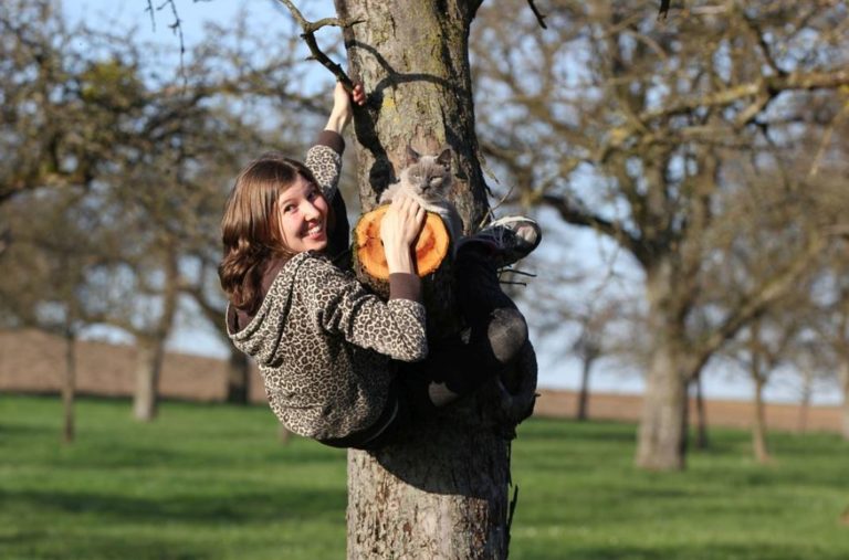 a girl hanging from the tree